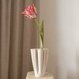 Parrot Tulip Flower Light Pink