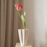 Parrot Tulip Flower Pink