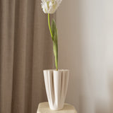 Parrot Tulip Flower White