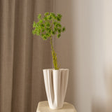 Queen Anne's Lace Flower Green
