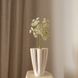 Queen Anne's Lace Flower White