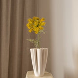 Queen Anne's Lace Flower Yellow