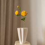 Ranunculus Flower Orange