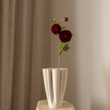 Ranunculus Flower Red
