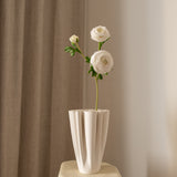 Ranunculus Flower White