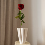 Rose Flower Red