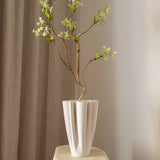 Snow Willow Branch