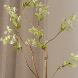 Snow Willow Branch