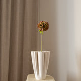 Scabiosa Seed Pod Flower Brown