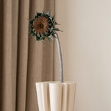 Dried Sunflower Brown