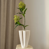 Skimmia Berry Branch Green