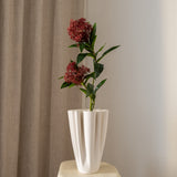 Skimmia Berry Branch Red