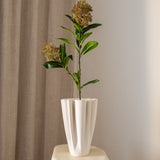 Skimmia Berry Branch Red Green