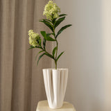 Skimmia Berry Branch White Green