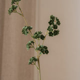 Succulent Branch Green