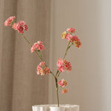 Succulent Branch Pink