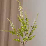 Wild Flower White