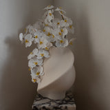 Orchid Flower White