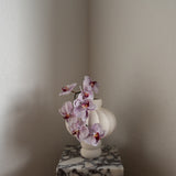 Orchid Flower Purple
