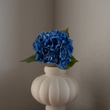 Hydrangea Flower Blue