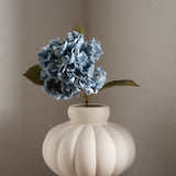 Hydrangea Flower Vintage Blue
