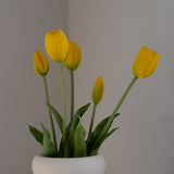 Tulip Bouquet Yellow