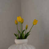 Tulip Bouquet Yellow