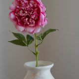 Peony Flower Pink