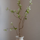 Snow Willow Branch