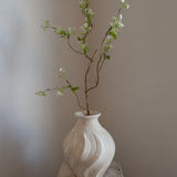 Snow Willow Branch