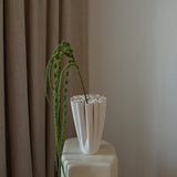 Amaranthus Green