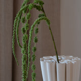 Amaranthus Green