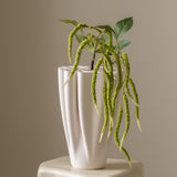 Amaranthus Green