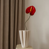 Anthurium Flower Red-Yellow