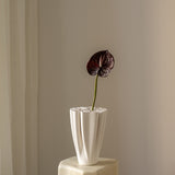 Anthurium Burgundy Small