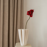 Anthurium Flower Red