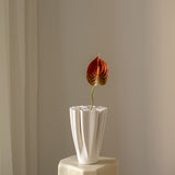 Anthurium Orange