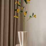 Chamomile Daisy Flower Yellow