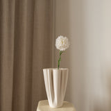 Carnation Flower