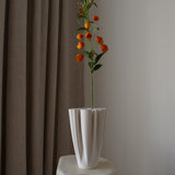 Chinese Lantern Lily
