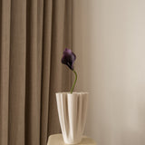 Calla Lily Flower Small Purple
