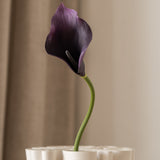 Calla Lily Flower Small Purple