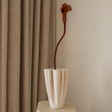 Calla Lily Flower Brown