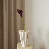 Calla Lily Purple