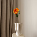 Chrysanthemum Flower Orange
