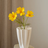 Cosmos Yellow