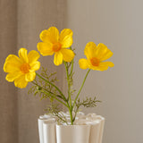 Cosmos Yellow