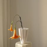Datura Stramonium Orange
