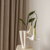 Datura Stramonium Flower White