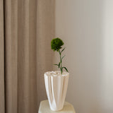 Dianthus Flower ("Green Trick") Green